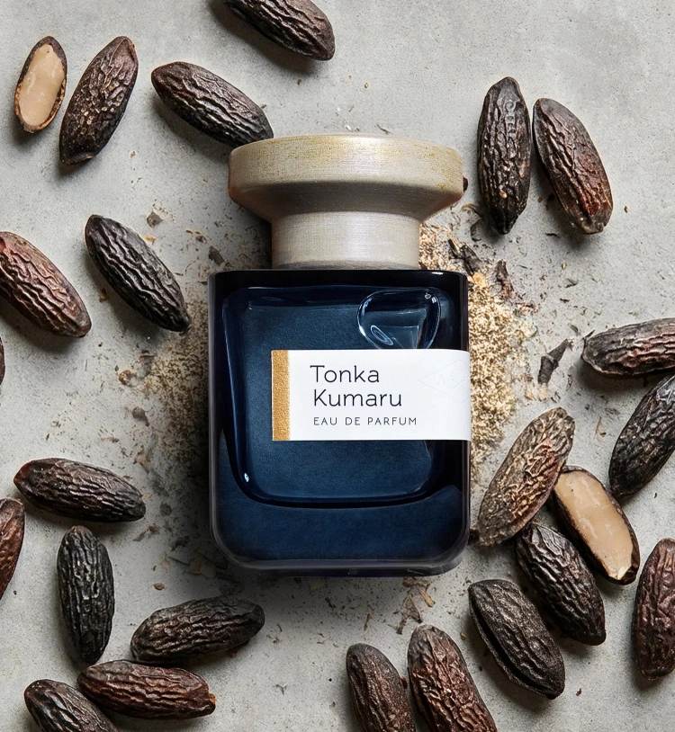 Atelier Materi Tonka Kumaru Atelier Materi Tonka Kumaru