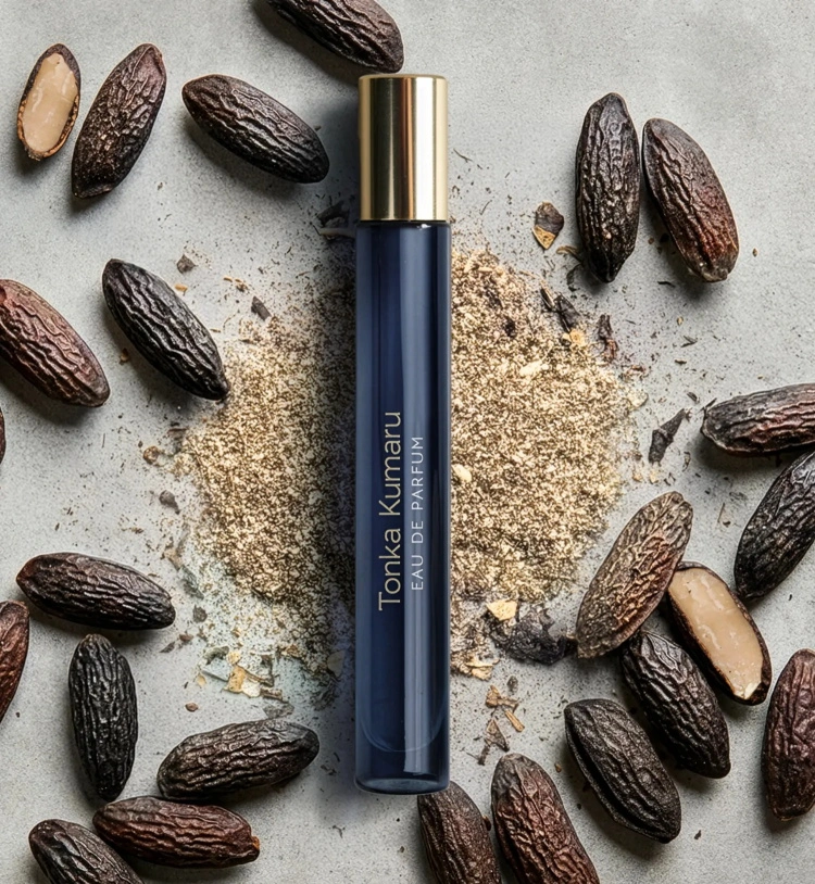 Atelier Materi Tonka Kumaru Atelier Materi Tonka Kumaru