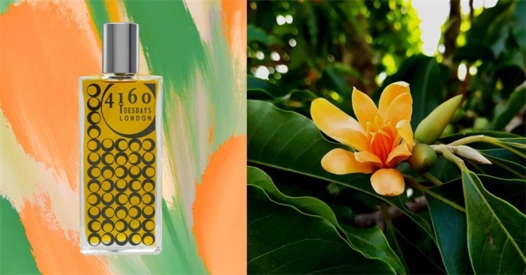 4160 Tuesdays为Hammersmith Series增添新作Goldhawk香水