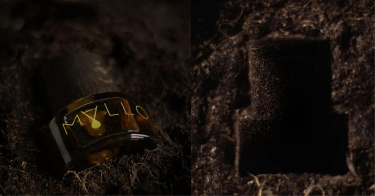 Mallo推出VAR香水:重量级的香根草温室