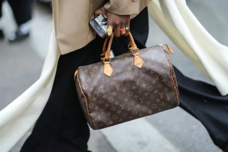 LV Speedy 25 老花帆布 手提包 2026