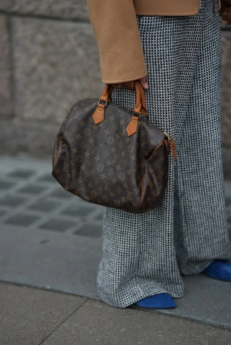 LV Speedy 25 老花帆布 手提包 2026