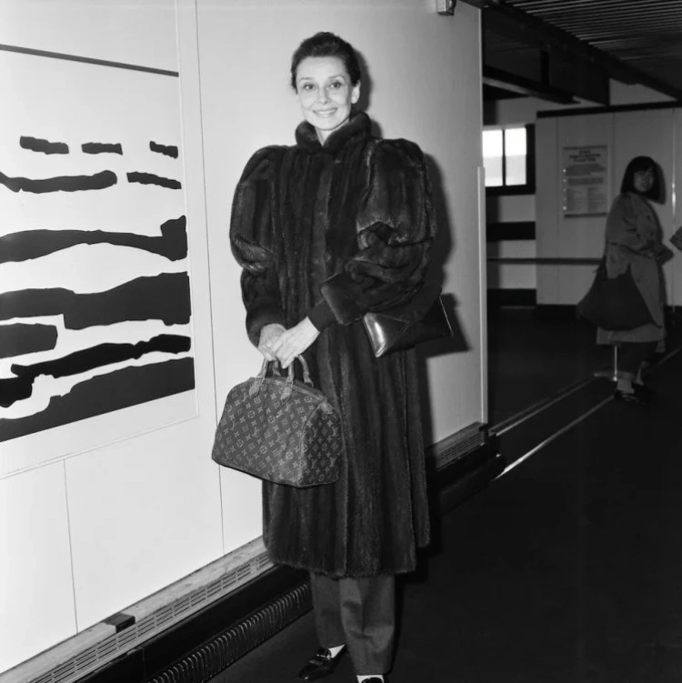 LV Speedy 25 老花帆布 手提包 2026