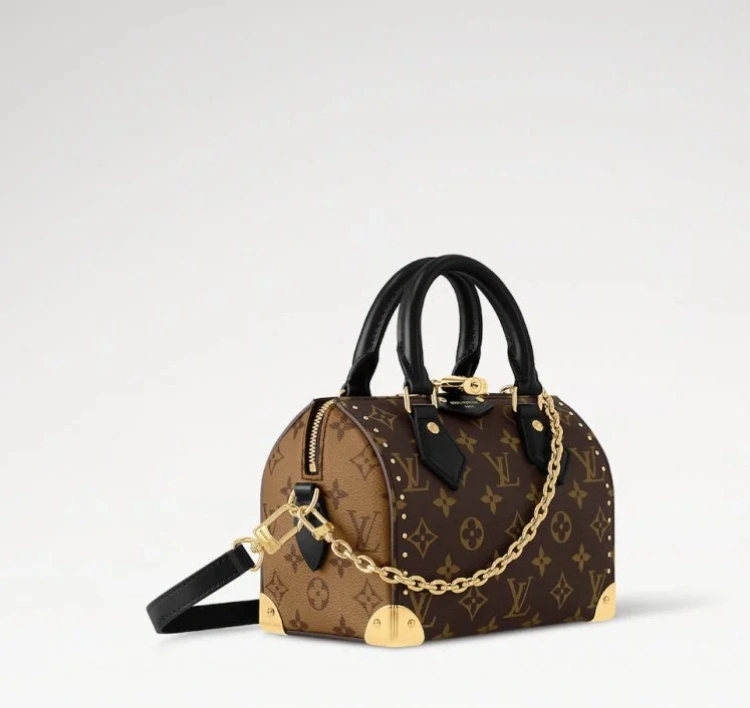 LV Speedy 25 老花帆布 手提包 2026