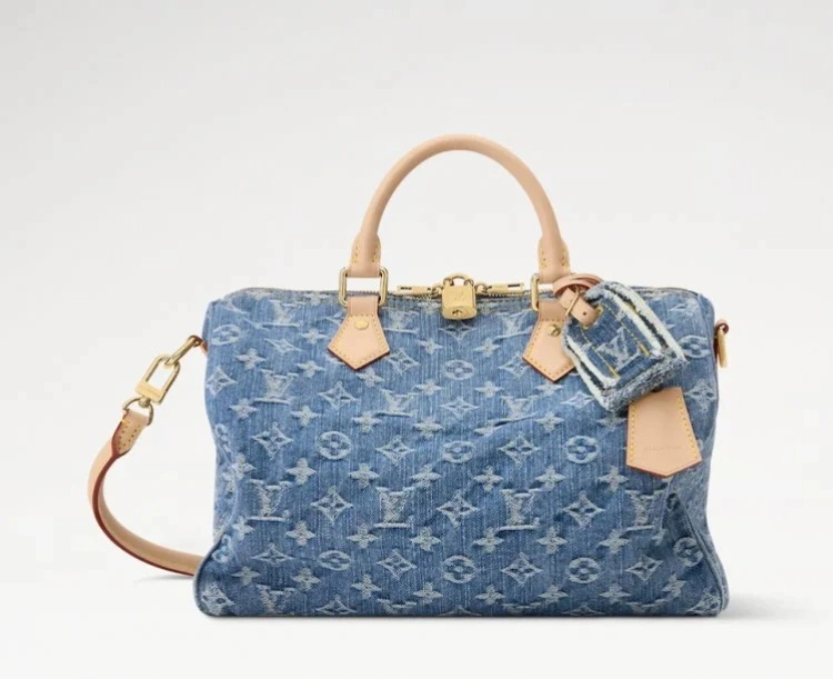 LV Speedy 25 老花帆布 手提包 2026