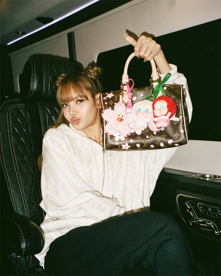 LV Speedy 25 老花帆布 手提包 2026